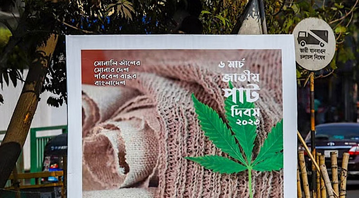 সেই পাতা গাঁজা গাছের নয়, পাটের নতুন জাত মেস্তার সেই পাতা গাঁজা গাছের নয়, পাটের নতুন জাত মেস্তার