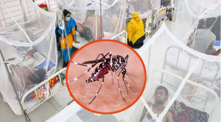 ডেঙ্গুতে আরও ১৭ মৃত্যু, হাসপাতালে ভর্তি ৩০৮৪ ডেঙ্গুতে আরও ১৭ মৃত্যু, হাসপাতালে ভর্তি ৩০৮৪