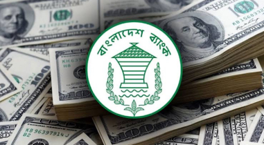 বৈদেশিক মুদ্রার রিজার্ভ কমে ২০ বিলিয়ন ডলারের ঘরে