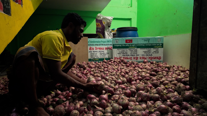 জনপ্রিয় হচ্ছে পেঁয়াজ চাষ, মাঠ থেকে তোলা ও সংরক্ষণে ব্যস্ত কৃষক