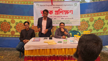 মালচিং পেপার ব্যবহারে টেকসই সবজি চাষে উদ্যোক্তাদের প্রশিক্ষণ