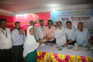 ভোলার ৪১৫ প্রাথমিক বিদ্যালয়ে স্কুল ফিডিং কর্মসূচির উদ্বোধন