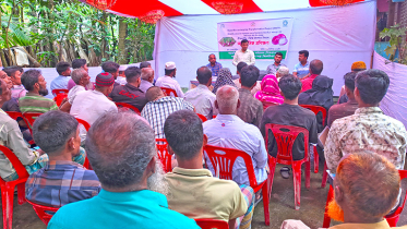 গ্রীষ্মকালীন পেঁয়াজ চাষে কৃষকদের প্রশিক্ষণ