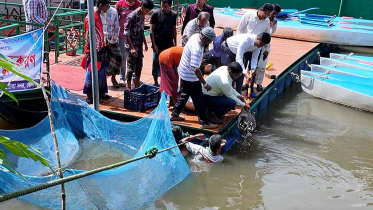 ভোলায় প্রাকৃতিক জলাশয় ও সরকারি পুকুরে মাছের পোনা অবমুক্ত