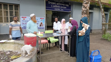 ভোলার সকল উপজেলায় বিনামূল্যে ভ্যাকসিনেশন কর্মসূচি
