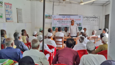 ভোলার বোরহানউদ্দিনে আন্তর্জাতিক প্রবীণ দিবস উদযাপন