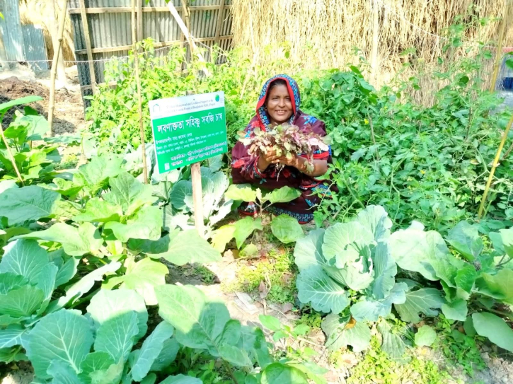 ভোলায় বেড–মাদা পদ্ধতিতে লবণ সহিষ্ণু সবজি চাষে সাড়া